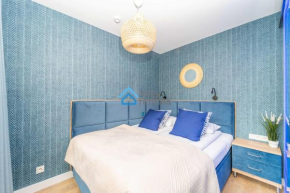Navy Blue Superior Apartment